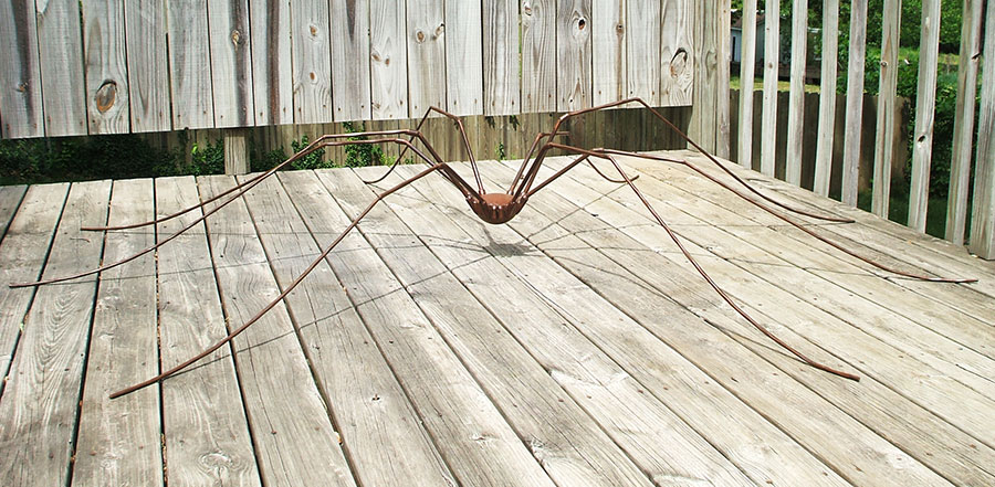 Spider Sculpture Art